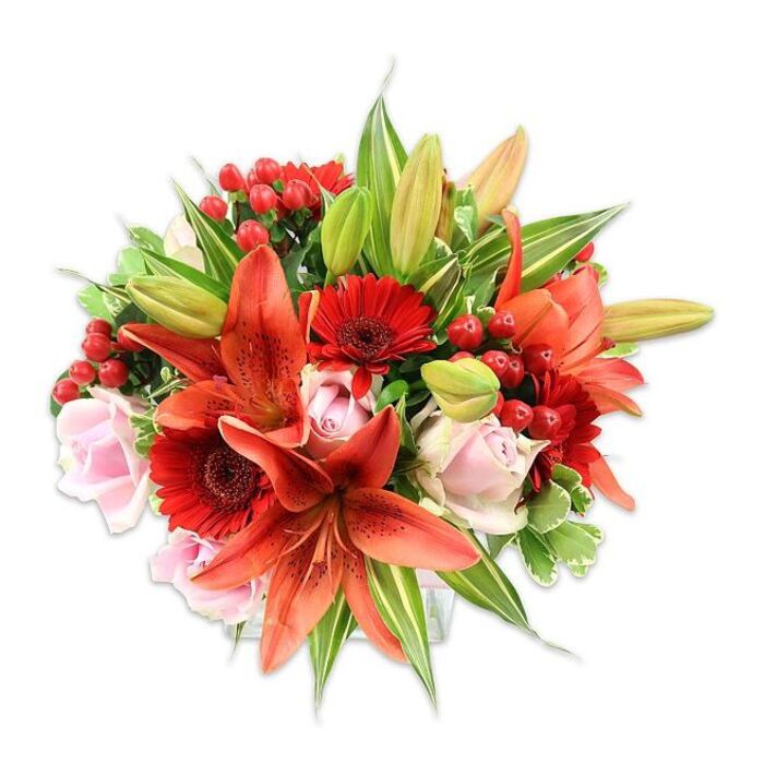 Framed by a spotless white background, this opulent bouquet reads like a statement of warmth and careful craft - the kind of arrangement we prepare at Flowers Streatham for special local moments. Towering orange-red Asiatic lilies dominate with wide, recurving petals and faint speckling, their stamens and anthers providing a sharp, elegant detail. Around them, deep red Gerbera daisies offer cheerful, radial blooms with darker centers that ground the colour story, while pale blush roses - shown at varying stages from tight spirals to open bowls - introduce softness and a gentle blush contrast. Shiny red hypericum berries are clustered through the stems, their waxy surfaces glinting under the light and adding a festive, jewel-like texture. A varied palette of foliage fills and frames the bouquet: long, sword-like lily leaves, broad glossy greens that form the background, and variegated leaves with light streaks that create subtle highlights. A few unopened lily buds peek through, promising bloom progression and adding a sense of living continuity. The arrangement has a generous, rounded silhouette and layered depth, revealing meticulous placement and a natural, garden-like fullness. Texturally there is a pleasing interplay - papery lily petals, velvety rose layers, the crisp snap of foliage, and the smooth roundness of berries - and the overall impression is warm, passionate and celebratory. This bouquet feels perfectly at home delivered to a flat off Streatham High Road, left on a windowsill near Streatham Common, or chosen as a heartfelt gift for milestones that call for both drama and tenderness.