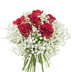 With a soft white background that highlights every detail, this elegant bouquet showcases the refined touch of a Streatham florist. Six deeply saturated red roses-each petal satin-smooth, each bloom nearly at its prime-stand proud and radiant. The blooms' rich scarlet tones suggest both romance and celebration, making them a compelling focal point. Swirling gently around the roses is a generous mass of baby's breath; the countless white florets form a delicate, cloud-like mist that balances the bouquet with a feeling of airiness and hope. The stems, a healthy green, are neatly bundled-fresh and robust-mirroring the skilled handiwork found in cherished local flower shops near The Rookery or Streatham Hill. Every rose and sprig of gypsophila is arranged to evoke a sense of gentle harmony, the interplay of color and texture reminiscent of Streatham's leafy crescents and bustling markets. Ideal for an intimate anniversary celebration, a thoughtful gift for Mother's Day, or a moment of spontaneous affection, this arrangement transforms simple materials into a rich expression of sincerity-just as a walk through Streatham's inviting streets turns ordinary days into heartfelt memories.